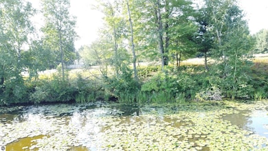 0 Arthur Ct unit 1926540, West Branch Township, MI 48661 - photo 4