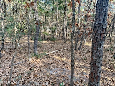 2905 N Magellan Blvd SE, Bolivia, NC 28422 - photo 3