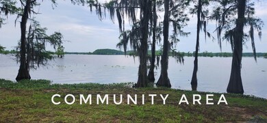 Lots 15-17 Potter Dr unit MCR 3638, Jefferson, TX 75657 - photo 4