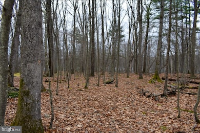 00 Upper Lakeview Dr, Fawn Lake Forest, PA 18428 - photo 6