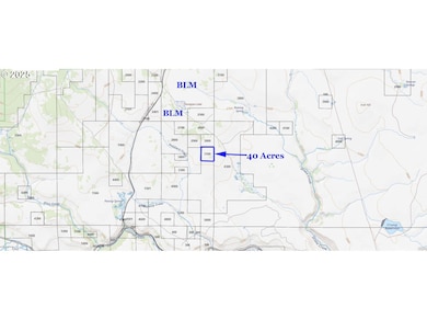 0 Plush Cutoff Rd unit 3100 179877644, Adel, OR 97620 - photo 5