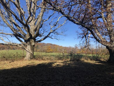 IMG_1293jpeg