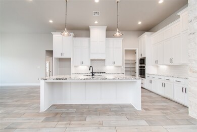 2050 Chalk Mill Crossing, Salado, TX 76571 - photo 7