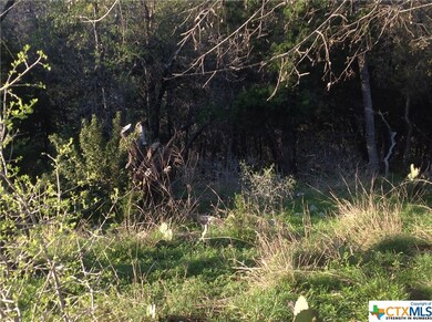 15849 Lovetta Ln, Temple, TX 76502 - photo 5