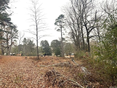 2211 S Chatfield Rd, Tull, AR 72015 - photo 4