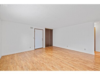 Living Room/Entrance