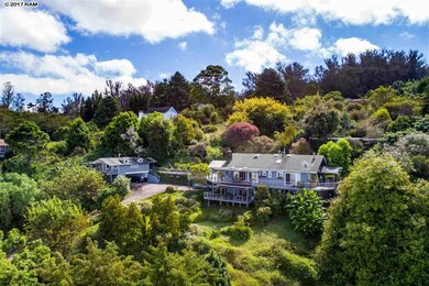 17100 Haleakala Hwy, Kula, HI 96790 - photo 3