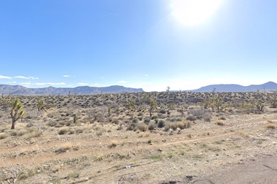 27365 N Apple Dr unit Meadview AZ 86444, Meadview, AZ 86444 - photo 3