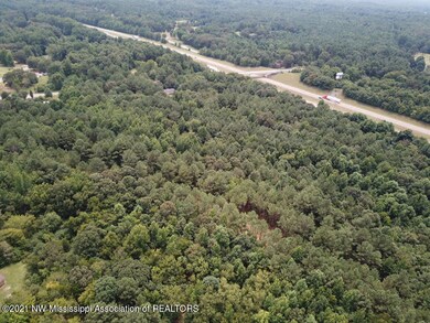 27 French Rd, Byhalia, MS 38611 - photo 3