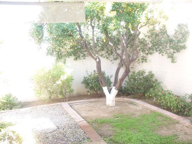 REAR YARD