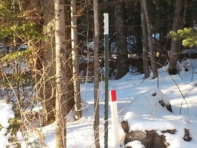 26.6 acres Old Highway 51 unit `and Nelson Avenue, Merrill, WI 54452 - photo 2