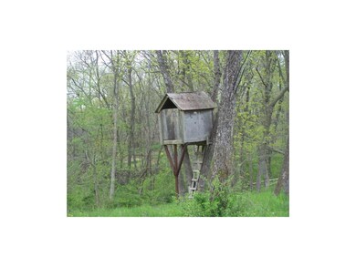 Tree House