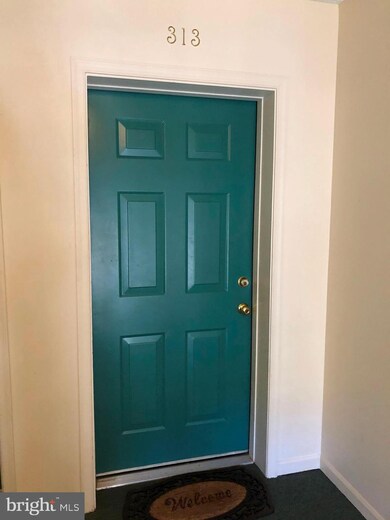 13109 Briarcliff Terrace unit 313, Germantown, MD 20874 - photo 4