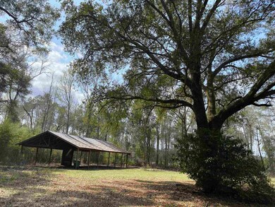 345 Royal Oak Ct, Crawfordville, FL 32327 - photo 6