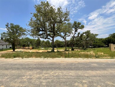 1000 Meadow Wood Terrace, Azle, TX 76020 - photo 2