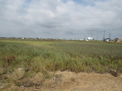 291 Nautilus St, Sargent, TX 77414 - photo 4