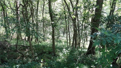 TBD Glendale Rd, New Cumberland, WV 26047 - photo 4