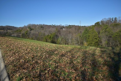 Lot 4 Constitution Dr, Jefferson City, TN 37760 - photo 2
