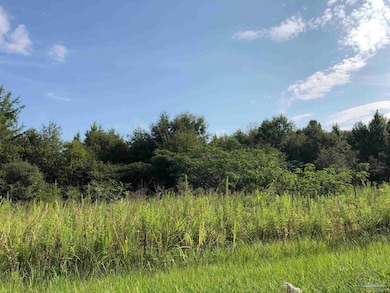 614 N Main St, Atmore, AL 36502 - photo 6