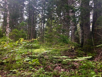 IMG_4266