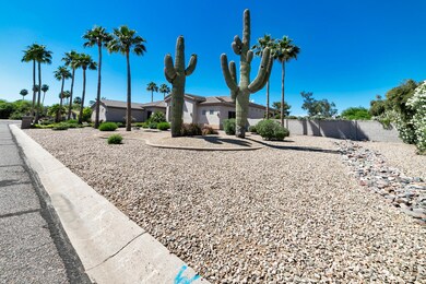 Desert Landscape
