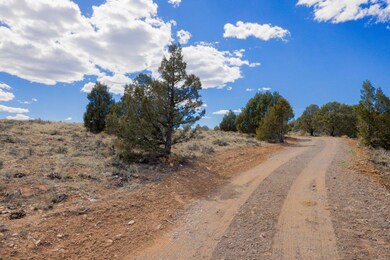 Road to the Property