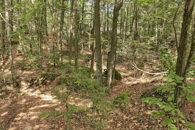 Lot 36 Mauhaut Shores Rd, Alton, NH 03810 - photo 7