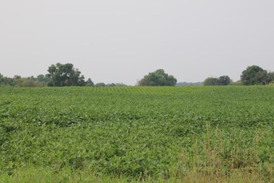 00002 County Road 14 NE, Spruce Hill Township, MN - photo 2