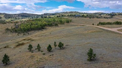 322 Hawk Way, Como, CO 80432 - photo 3