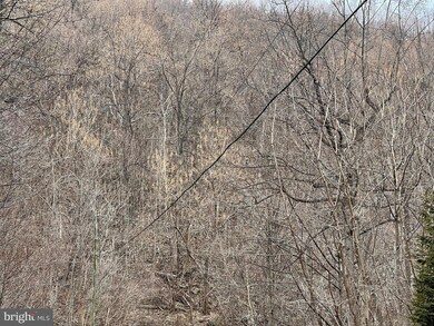 0 Mosby Spring Rd unit VAWR2002290, Linden, VA 22642 - photo 3