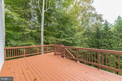 11 Wedman Way, Stafford, VA 22554 - photo 5