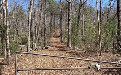 000 Flagpole Rd, Ellijay, GA 30540 - photo 3