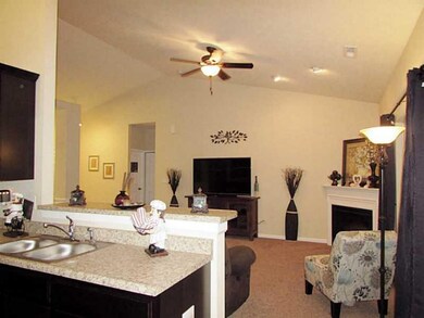 2503 Wildflower Ln, Greenwood, IN 46143 - photo 5