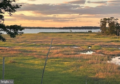 29244 Park View Dr, Dagsboro, DE 19939 - photo 7