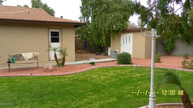 Storage in backyard