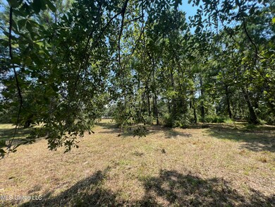 prentiss pic cleared area 1
