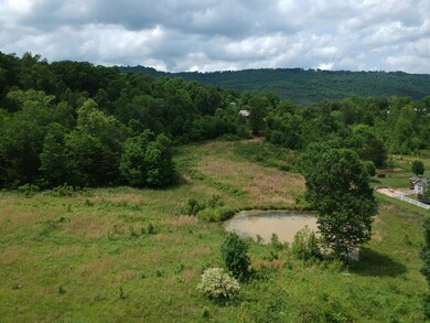 DJI_0194 (1)