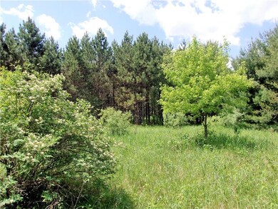 0 Old 35 unit 1531995, Webster, WI 54893 - photo 4