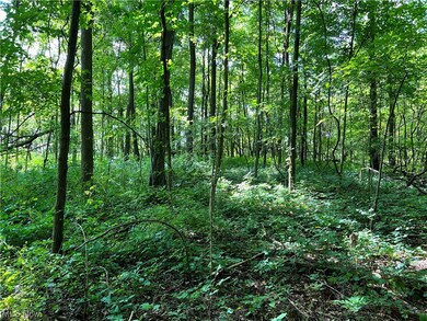 0 Ruff Rd unit 4496008, West Salem, OH 44287 - photo 2