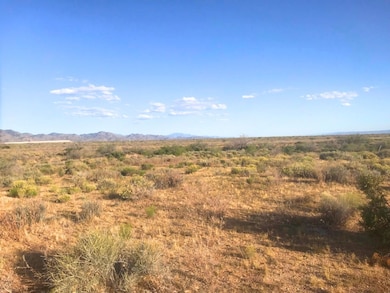 Na, Dolan Springs, AZ 86441 - photo 2