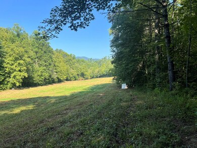 0 R J Mountain View Dr unit 154256, Murphy, NC 28906 - photo 3