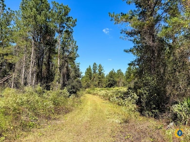 County Road 121, Jacksonville, GA 31544 - photo 4