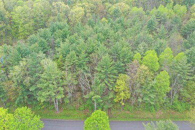 0 Kilkenny Rd, Unadilla, NY 13849 - photo 4