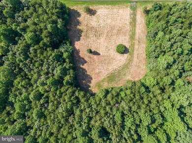 0 Terry's Run Rd unit VAOR134854, Unionville, VA 22567 - photo 4