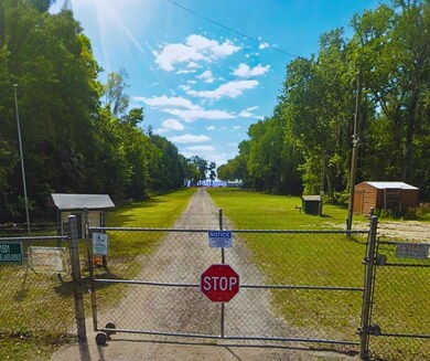 429 Birch Blvd, Georgetown, FL 32139 - photo 5