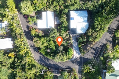 An overhead view pinpointing the parcel location and surrounding mature vegetation.