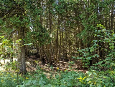 U.S. 2 Lake Michigan Mackinac Hideout (3