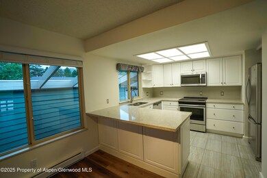 14913 Highway 82 unit 113, Carbondale, CO 81623 - photo 3