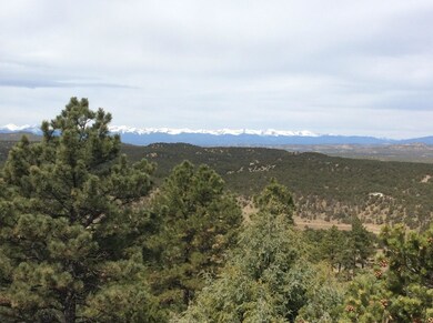 Sangre Decristo Views