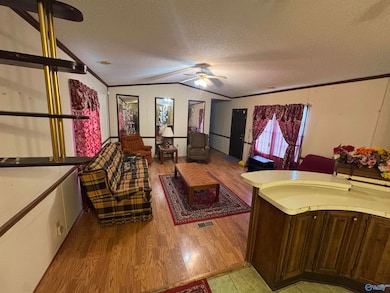 251 Ready Section Rd, Hazel Green, AL 35750 - photo 3